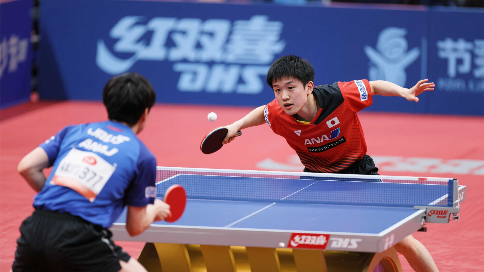 的赛场上 的赛场上