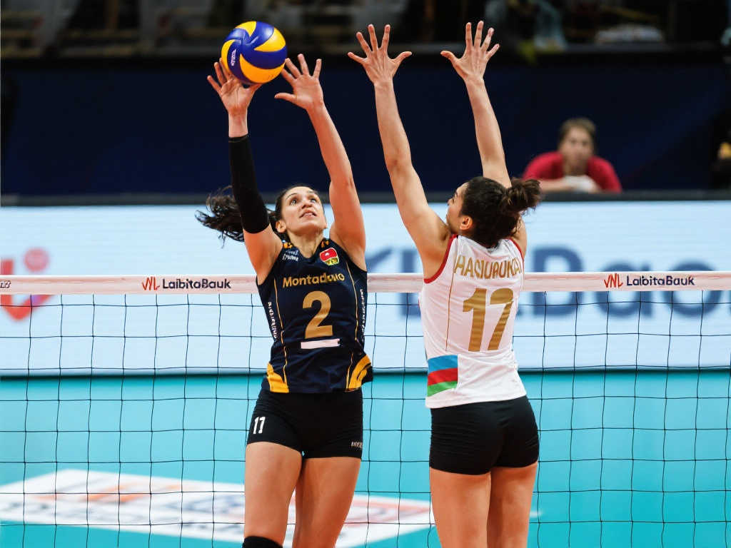 轻球员的培 轻球员的培